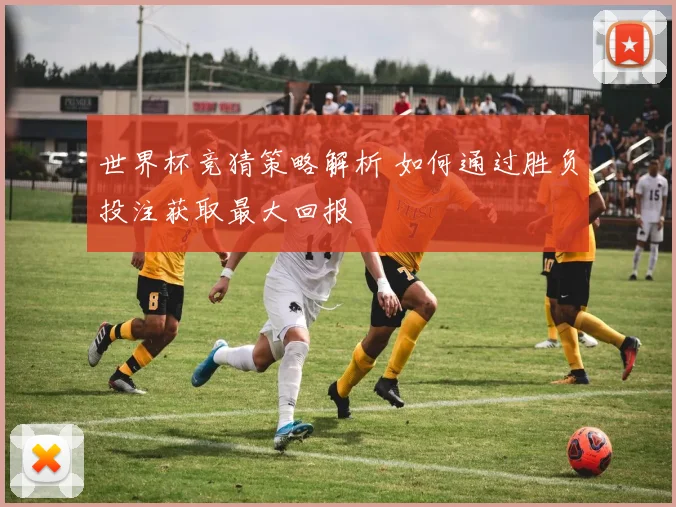 世界杯竞猜策略解析 如何通过胜负投注获取最大回报