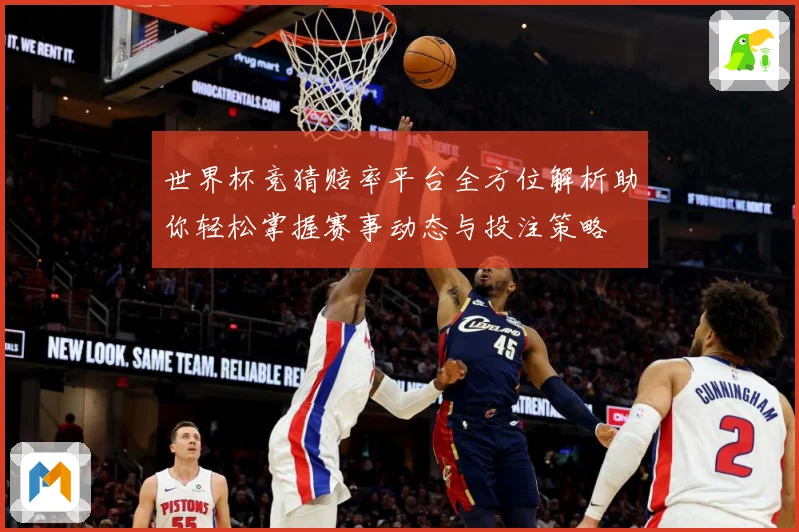 世界杯竞猜赔率平台全方位解析助你轻松掌握赛事动态与投注策略