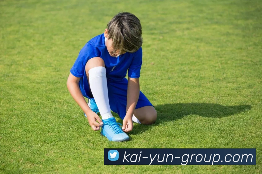 开云平台展示图