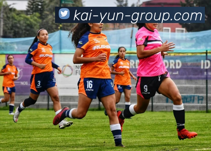 开云官网全站App